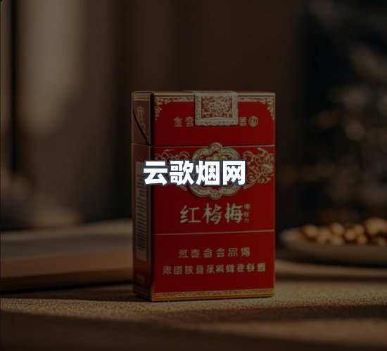关于云歌烟网